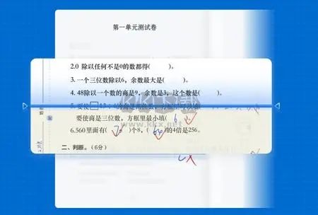 蜜蜂試卷最新版