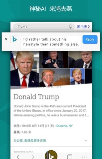 必應(yīng)地圖中文版