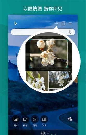 必應(yīng)地圖中文版
