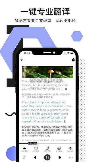 拍讀英語最新版