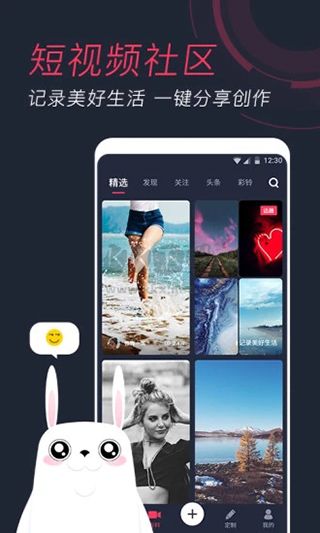 羞兔動態(tài)壁紙最新版