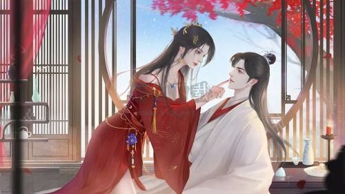 自由領(lǐng)主完結(jié)清軟手機(jī)版