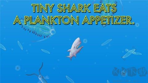 美味海洋免費(fèi)版