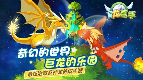 育龍高手九游版