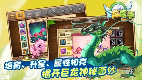 育龍高手九游版