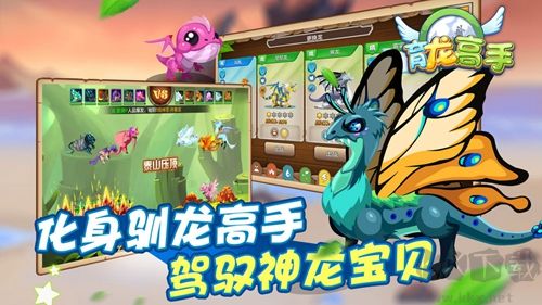 育龍高手九游版