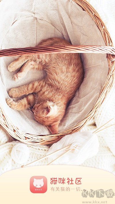 貓咪社區(qū)安卓版