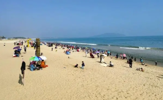 山海陽西官安卓版