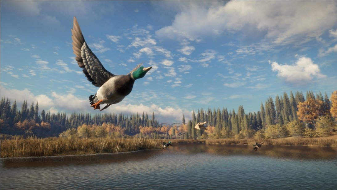 獵人：荒野的召喚三十四項修改器PC