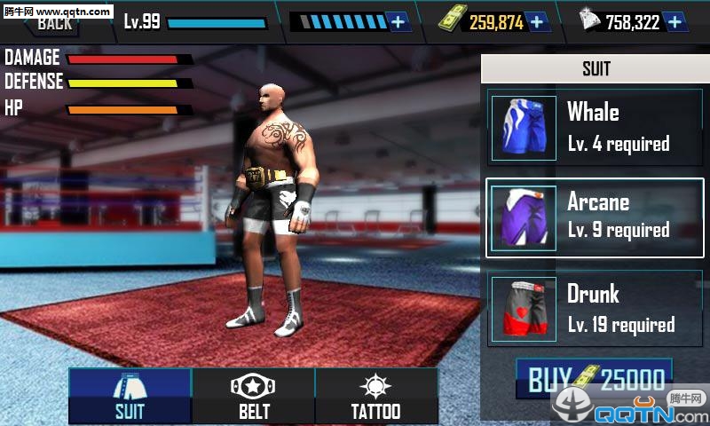 真實(shí)摔跤正版