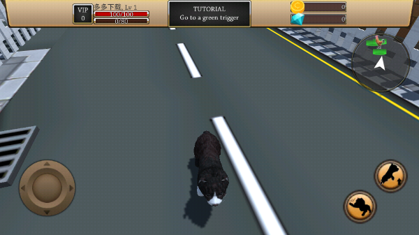 美國ZOOM動物最新版2023游戲攻略4