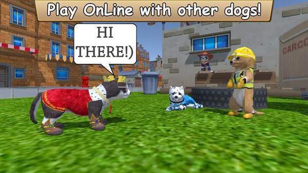 美國ZOOM動物國際版