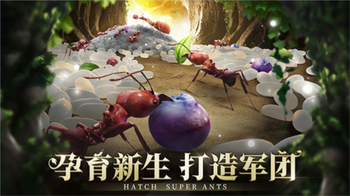 小小蟻國(guó)官方版