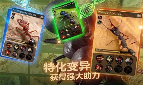 小小蟻國(guó)安卓版