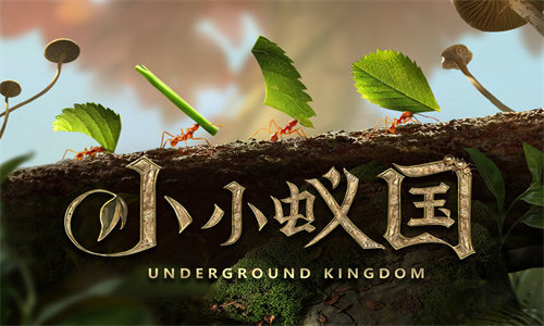 小小蟻國(guó)安卓版