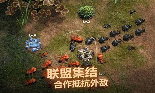 小小蟻國(guó)安卓版