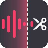 金舟音頻大師免費(fèi)版 v2.1.8專業(yè)版
