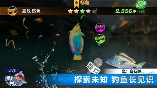 垂釣大師去廣告版