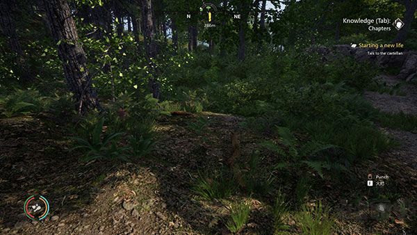 中世紀(jì)王十項(xiàng)修改器PC