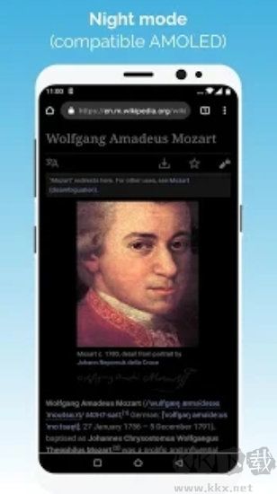 kiwi瀏覽器高級版