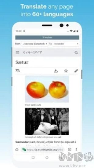kiwi瀏覽器高級版