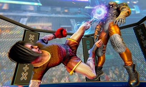 功夫格斗大師無(wú)限金幣版