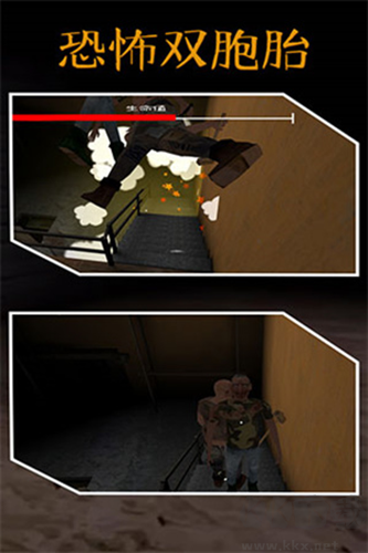 驚魂雙胞胎無敵版