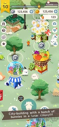 可愛到讓人心碎的兔兔完整版