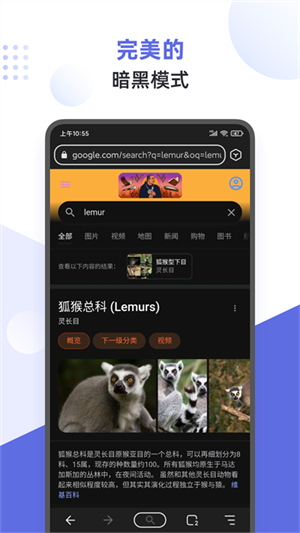 狐猴瀏覽器app手機版