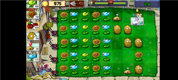 植物娘大戰(zhàn)僵尸最新版