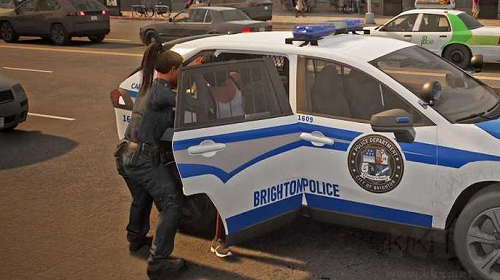 邊境警察巡邏模擬器