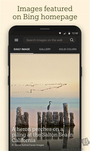 必應(yīng)壁紙（Wallpapers）