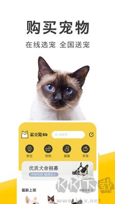 買只寵物正版