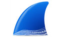 wireshark（網(wǎng)絡(luò)抓包工具） v4.2.5