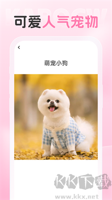 愛炫相機(jī)安卓版