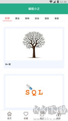 編程小之綠色版