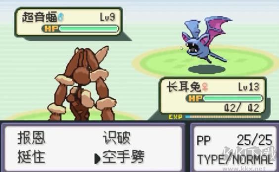 口袋妖怪火箭隊(duì)漢化版