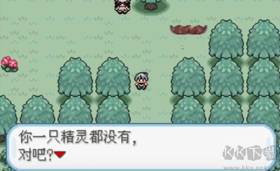 口袋妖怪火箭隊(duì)漢化版