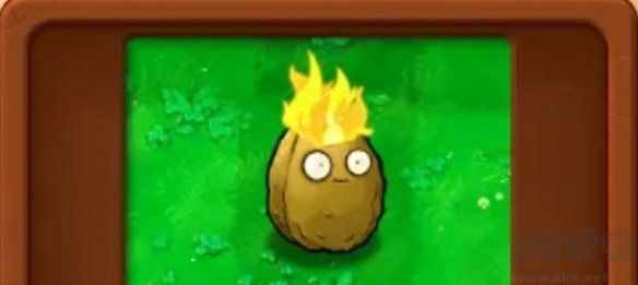 基礎(chǔ)植物圖鑒介紹截圖4