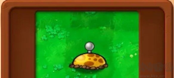 基礎(chǔ)植物圖鑒介紹截圖5