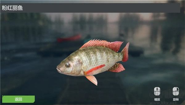 終極釣魚模擬器無限金幣版游戲攻略10