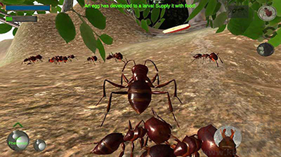 螞蟻生存記游戲