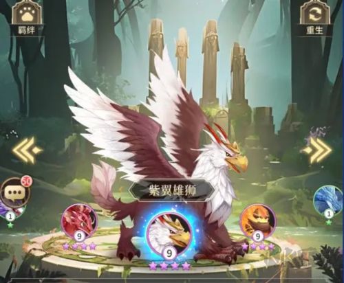 海島傳奇寵技能搭配攻略4