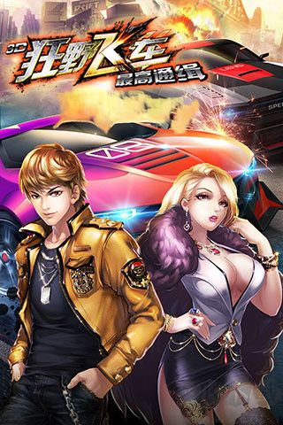 3D狂野飛車：最高通緝