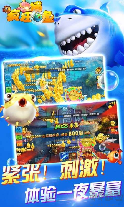 瘋狂捕魚(yú)官方2025最新版