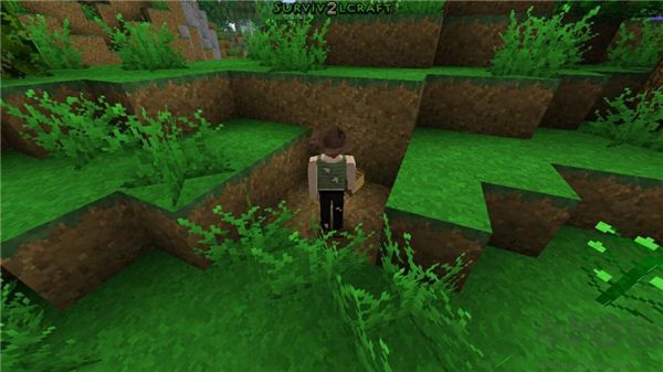 生存戰(zhàn)爭2免費(fèi)正版