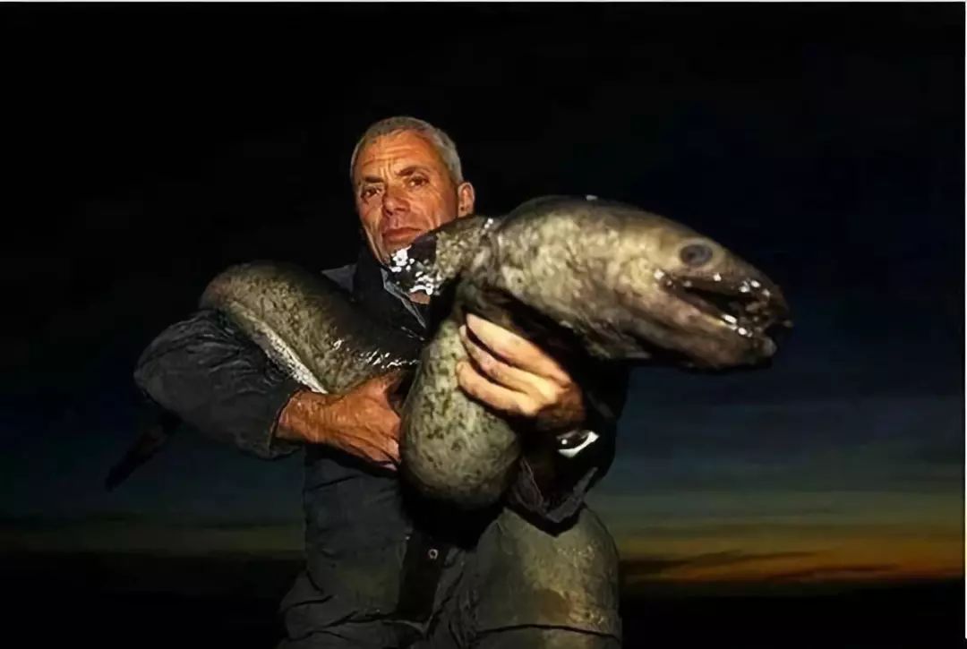 2025釣魚游戲排行-2025好玩的釣魚游戲-2025真實(shí)的釣魚游戲