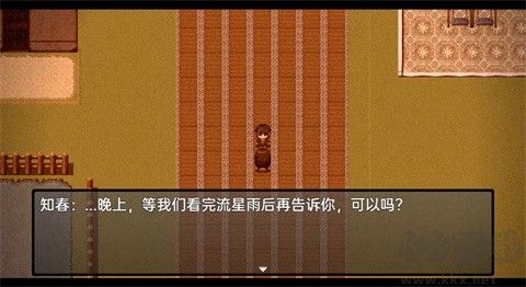 流星降臨的小鎮(zhèn)來(lái)自過(guò)去的幽靈游戲