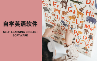 2025英語基礎(chǔ)學(xué)習(xí)軟件-自學(xué)英語的免費軟件大全-英語入門自學(xué)app推薦