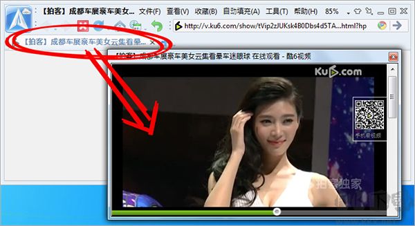 愛帆瀏覽器(Avant Browser)